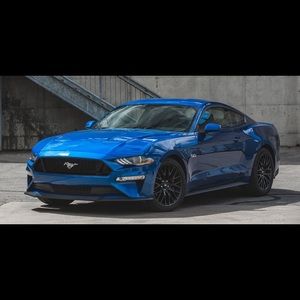 Meet your Posher, Jadyn